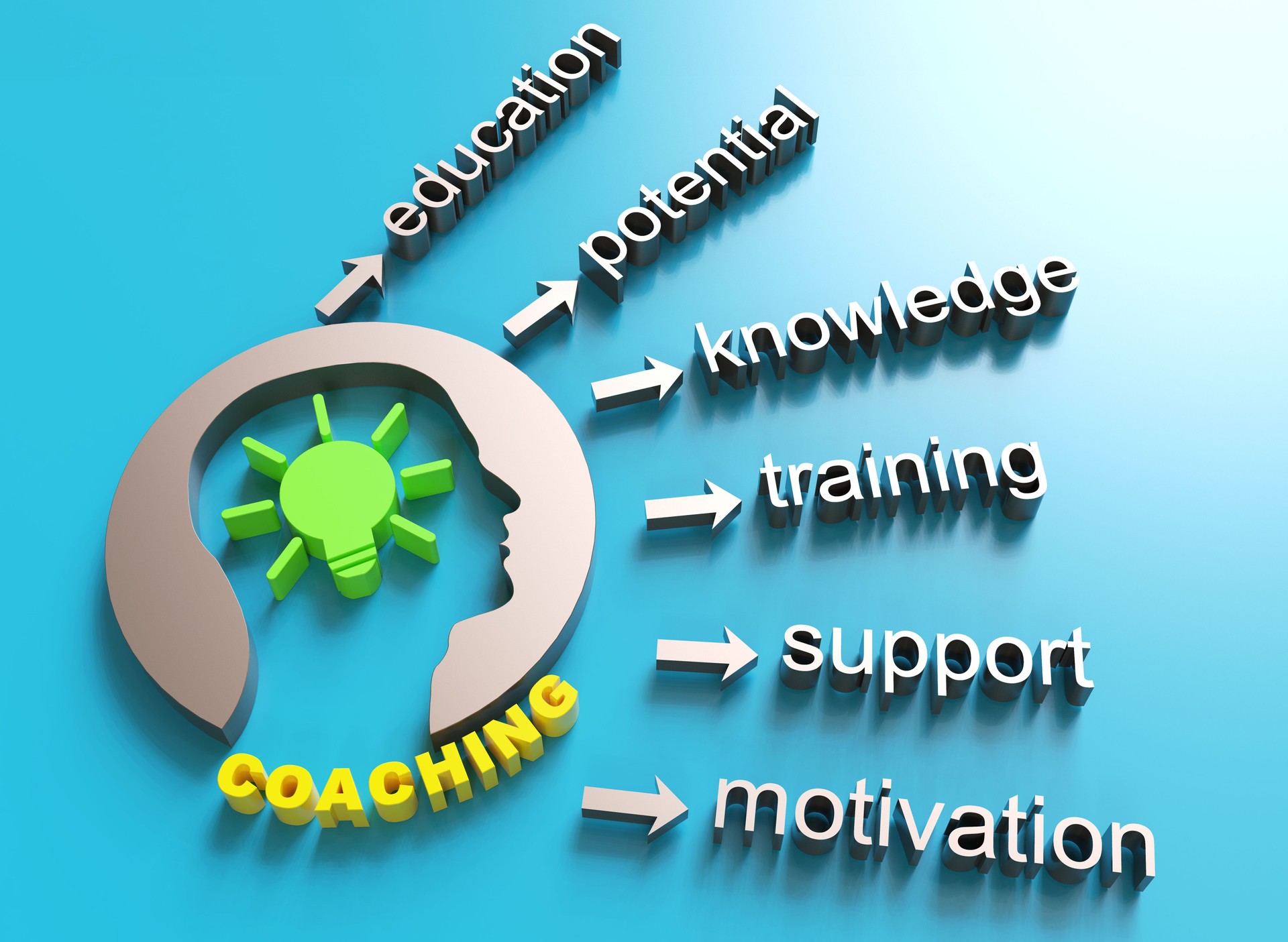 Illustration of a head with lightbulb and arrows for coaching, knowledge, training, and support.